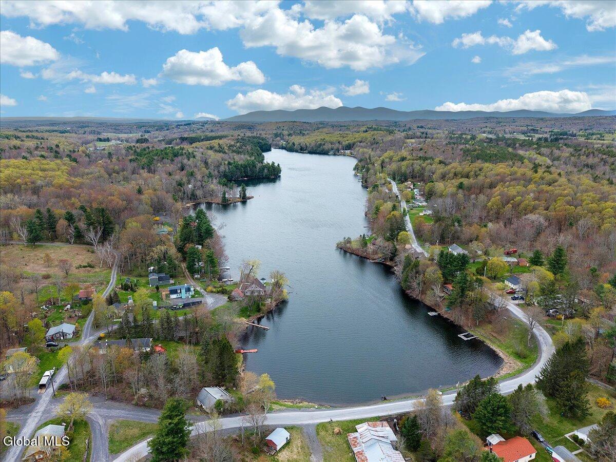 187 Lake Road Westerlo, NY 12023 - Photo 5 of 79 04-DJI_20260428153036_0427_D