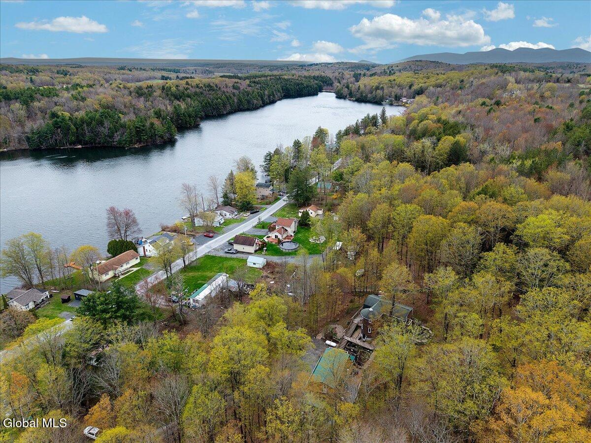 187 Lake Road Westerlo, NY 12023 - Photo 57 of 79 57-DJI_20260428152218_0382_D