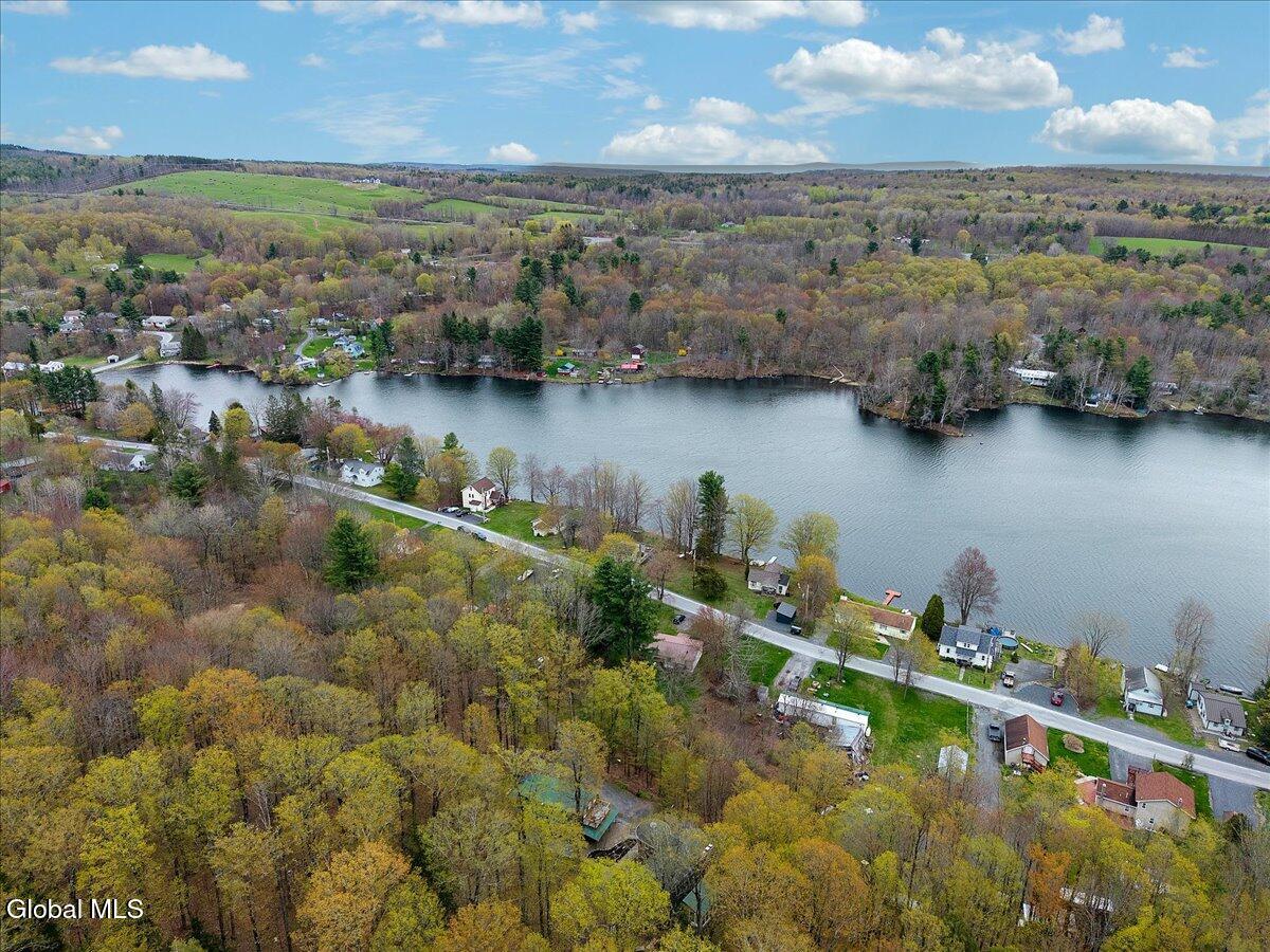 187 Lake Road Westerlo, NY 12023 - Photo 58 of 79 58-DJI_20260428152253_0387_D