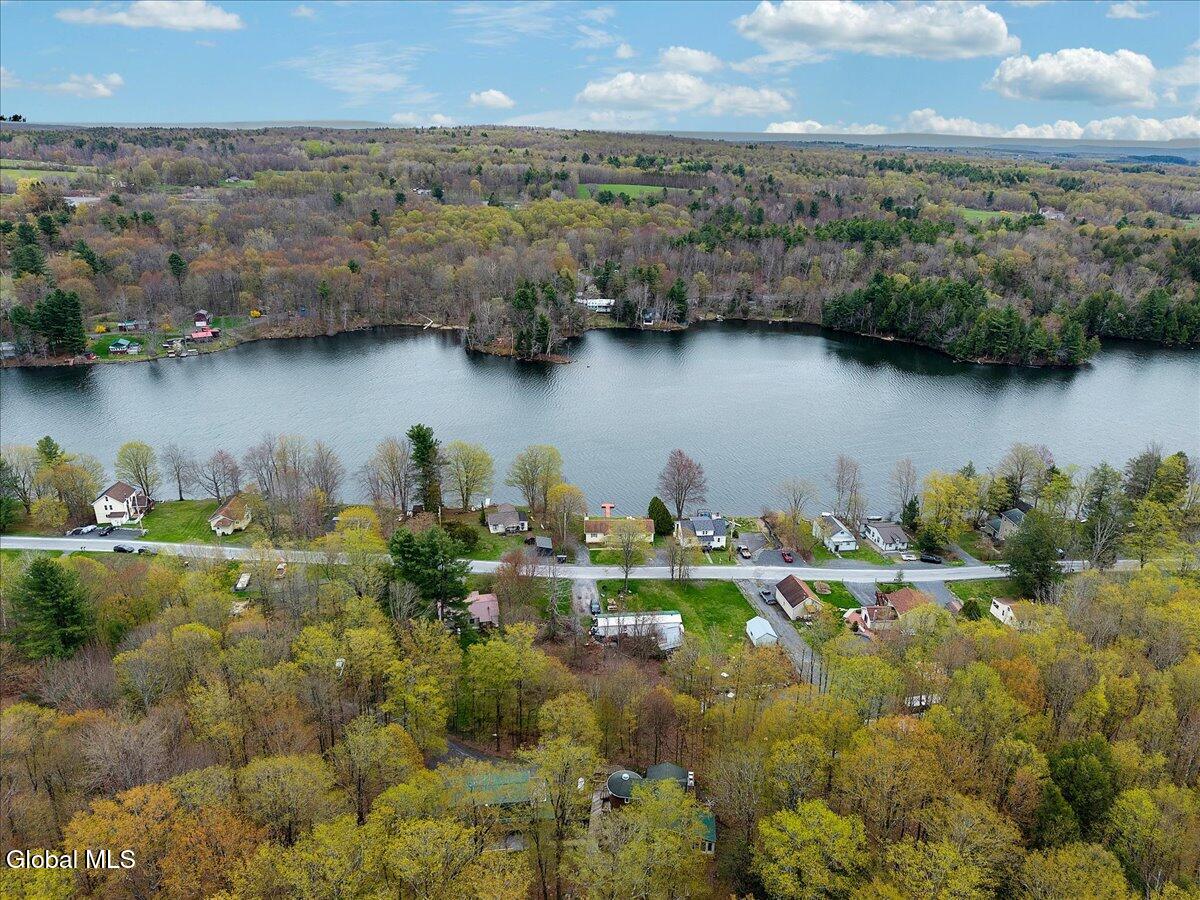 187 Lake Road Westerlo, NY 12023 - Photo 59 of 79 59-DJI_20260428152309_0392_D