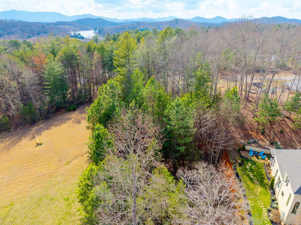 43-44 Licklog Ridge Hayesville, NC 28904 - Photo 5 of 8