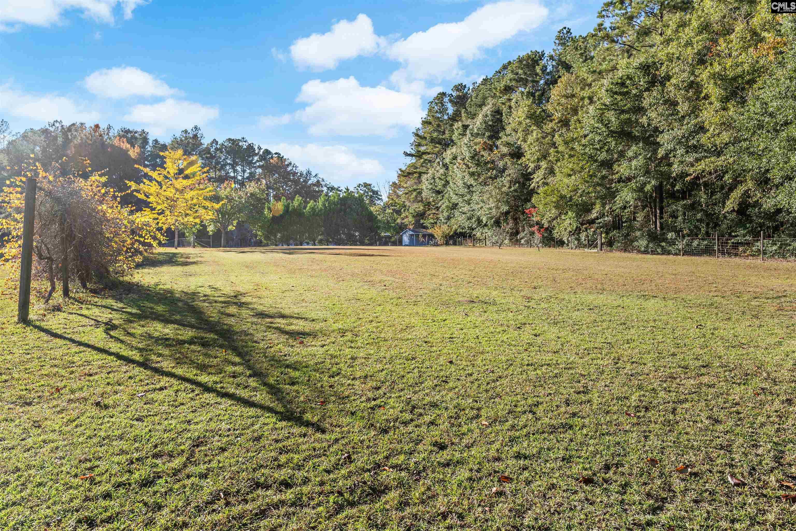 646 Briar Creek Road Branchville, SC 29432 - Photo 43 of 50