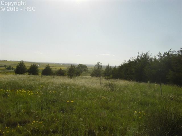 1 South Log Road Peyton, CO 80831 - Photo 8 of 25