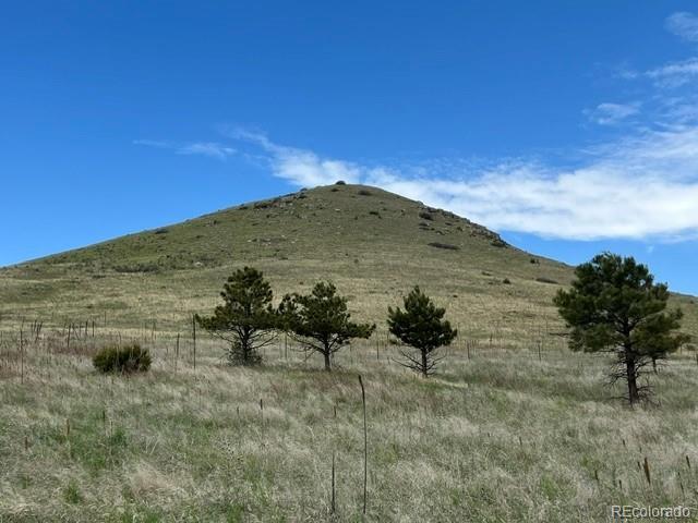 11977 Haskell Creek Road Larkspur, CO 80118 - Photo 13 of 29