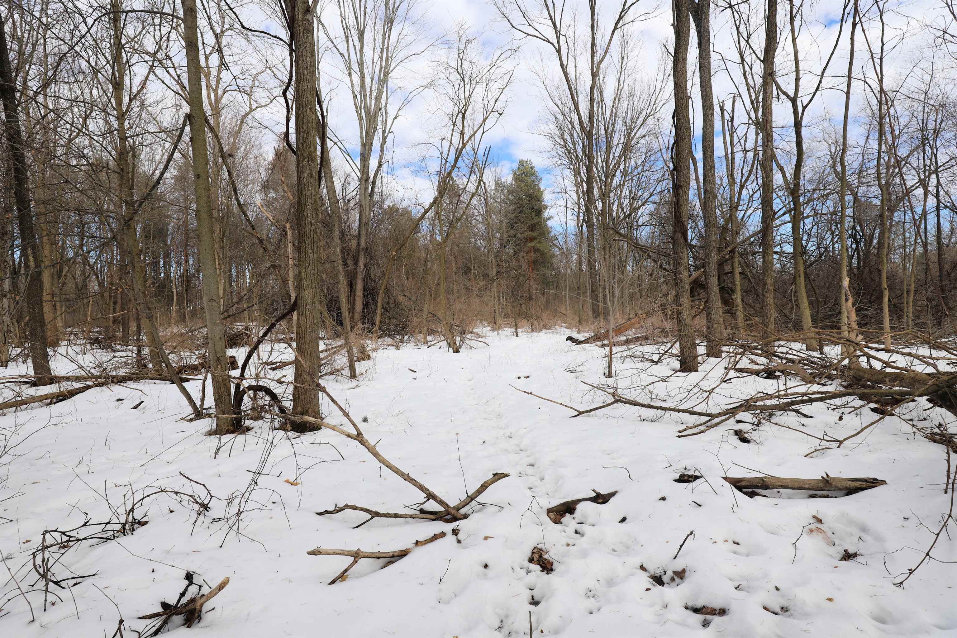 3072 Field Road Clio, MI 48420 - Photo 35 of 40 50167351-e8eb3d40-52f4-4a93-886d-a40a47ce573d.JPG