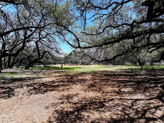 a view of a yard with a tree
