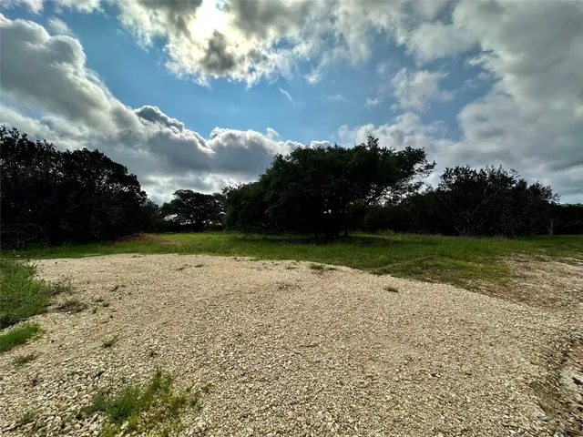 a view of grassy field with trees in the background