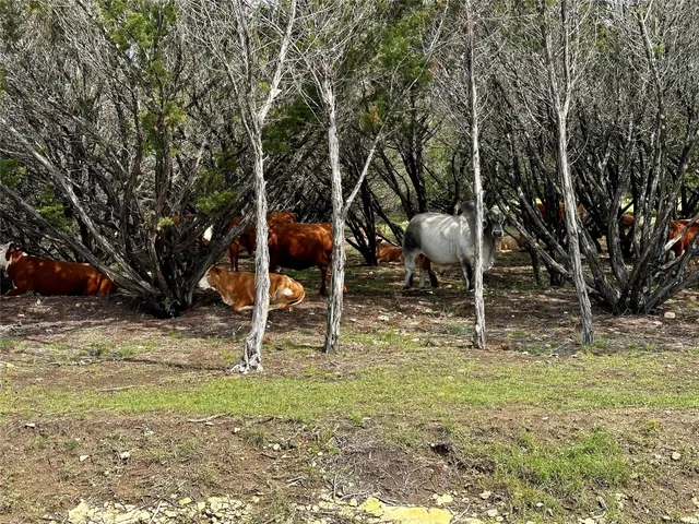 $185,000 | 285 Donnie Drive, Lampasas, TX 76550