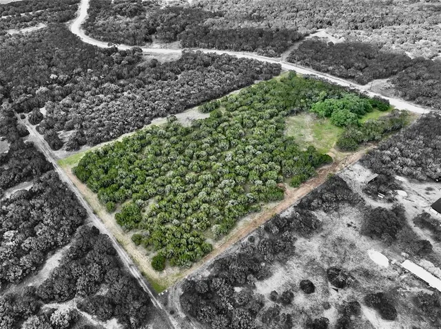 a view of a garden with a plant