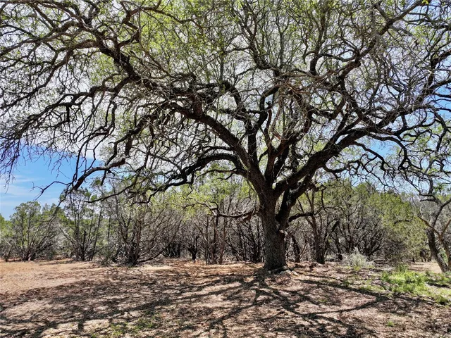 a view of outdoor space with trees