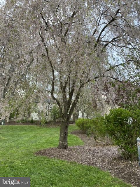 10014 Fox Den Road Ellicott City, MD 21042 - Photo 33 of 37