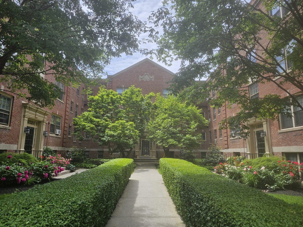 a view of flower garden with a large tree