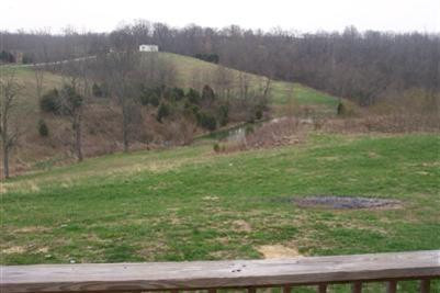 503 Double Culvert Road Georgetown, KY 40324 - Photo 5 of 16 Photo 5