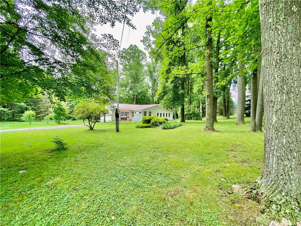 2008 Laurel Road Shelocta, PA 15774 - Photo 2 of 24 Gallery Image 2