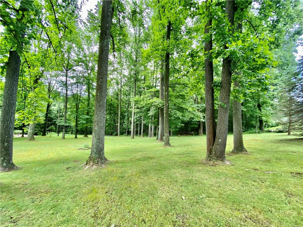 2008 Laurel Road Shelocta, PA 15774 - Photo 6 of 24 Gallery Image 6