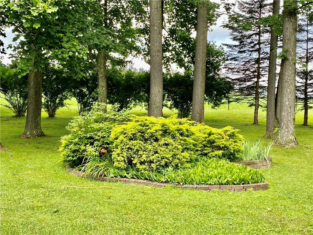 2008 Laurel Road Shelocta, PA 15774 - Photo 7 of 24 Gallery Image 7