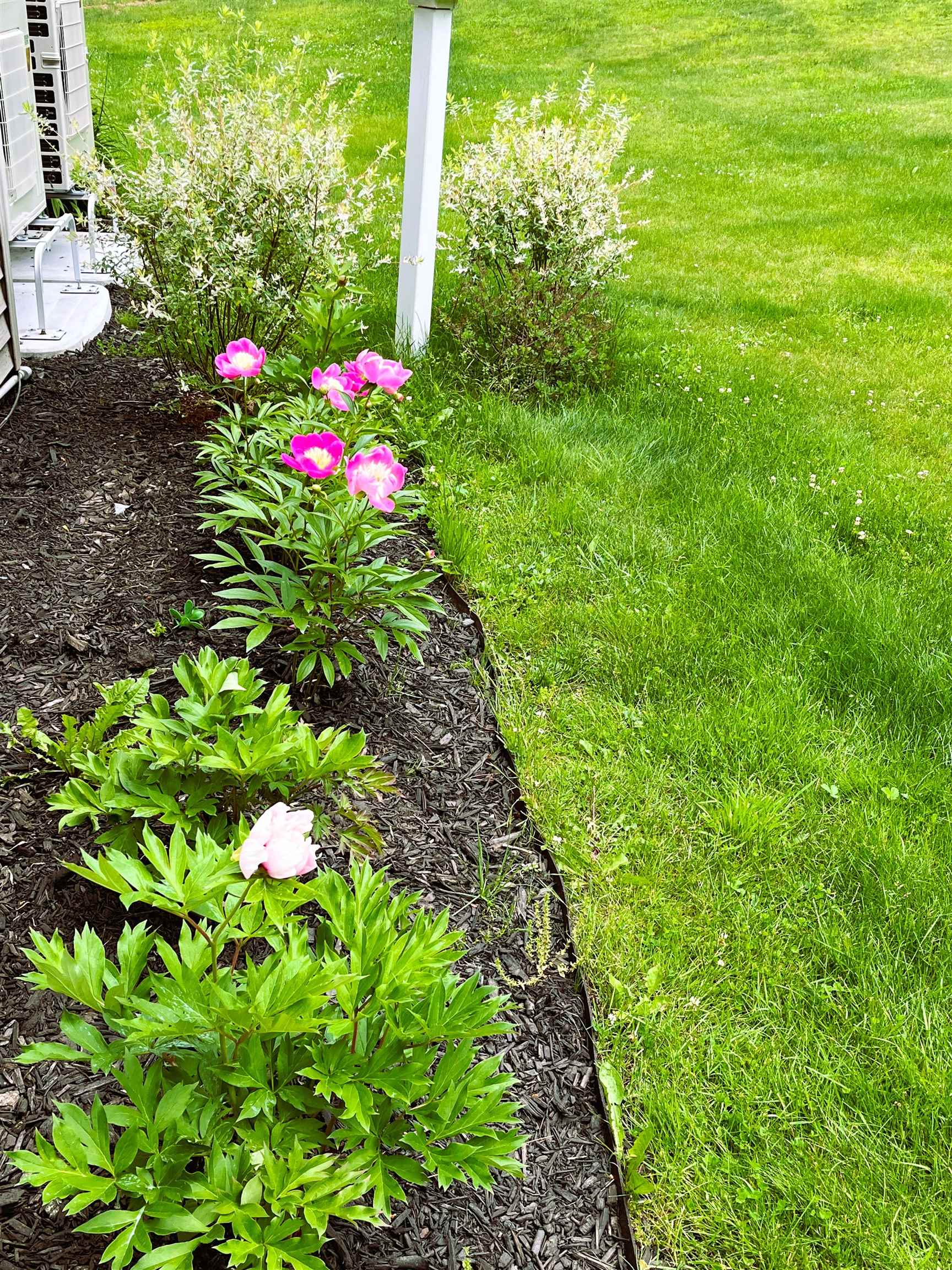 2600 Country Club Road Plainfield, VT 05667 - Photo 49 of 54