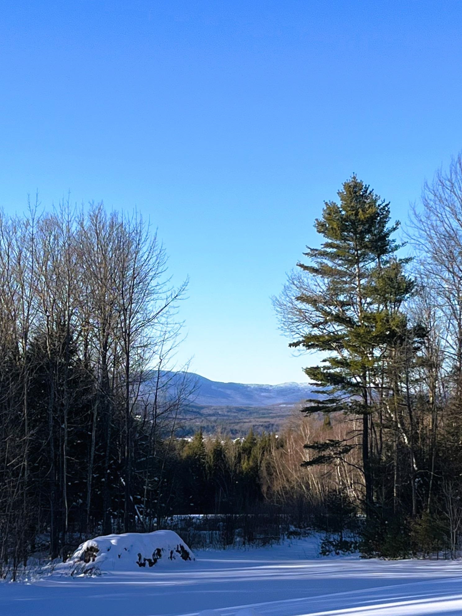 2600 Country Club Road Plainfield, VT 05667 - Photo 9 of 54