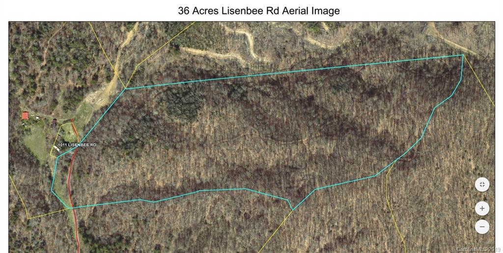0 Lisenbee Road Marshall, NC 28753 - Photo 2 of 22 Gallery Image 2