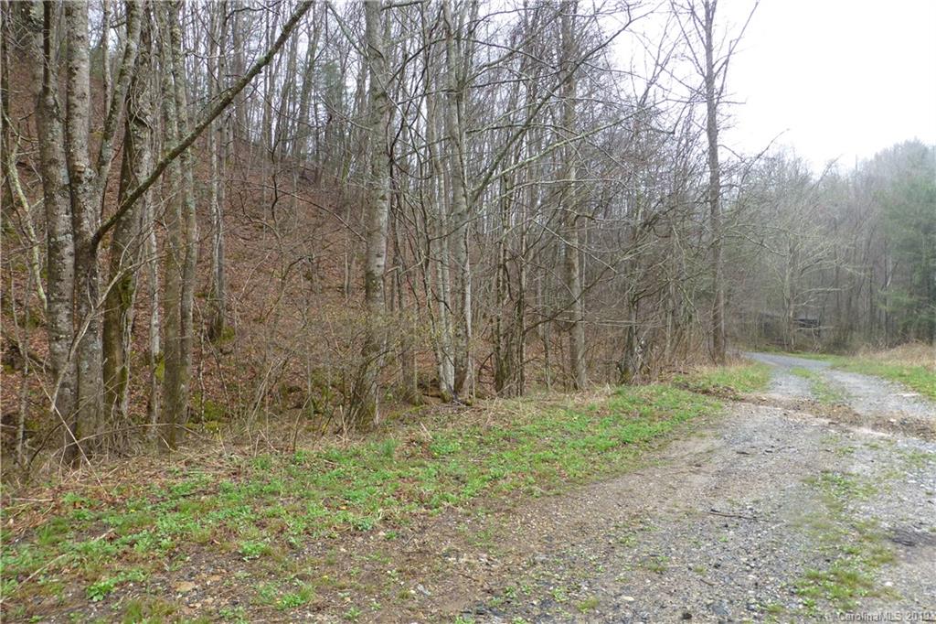 0 Lisenbee Road Marshall, NC 28753 - Photo 16 of 22 Gallery Image 16