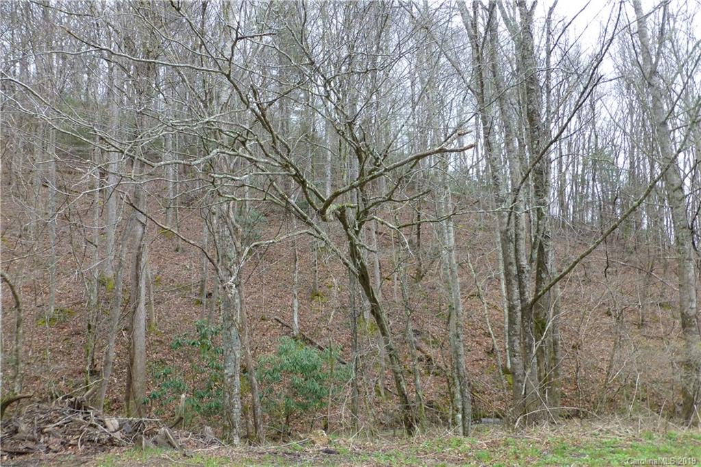 0 Lisenbee Road Marshall, NC 28753 - Photo 19 of 22 Gallery Image 19