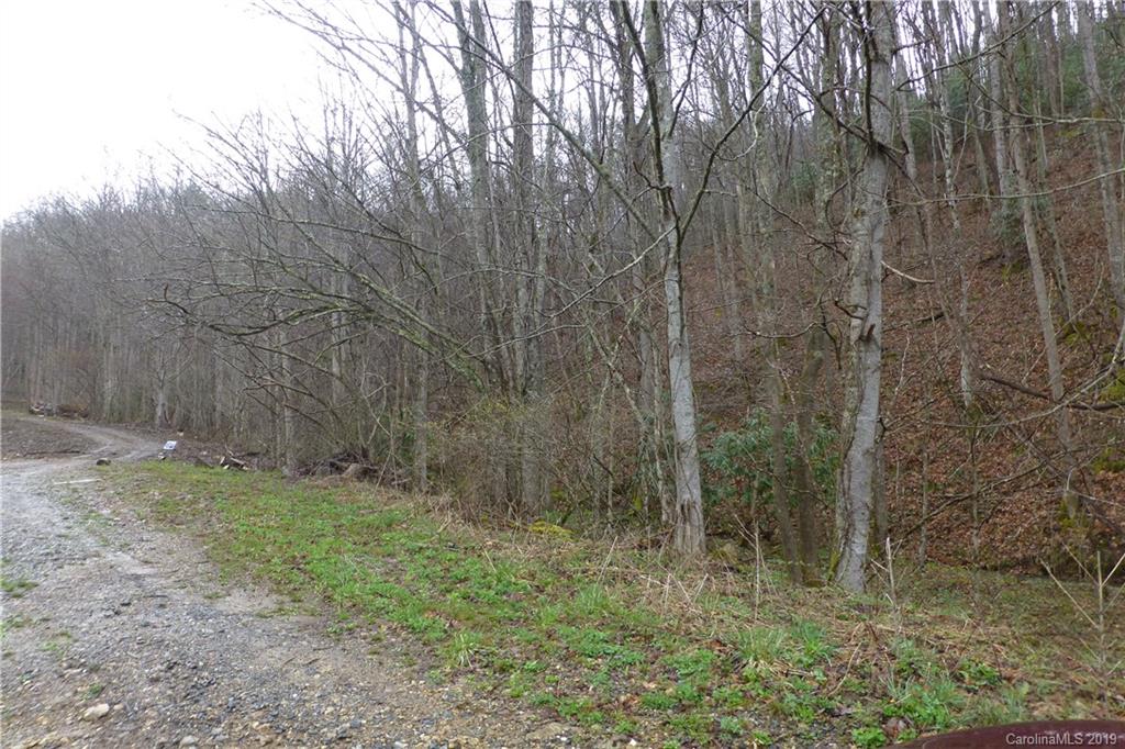 0 Lisenbee Road Marshall, NC 28753 - Photo 10 of 22 Gallery Image 10