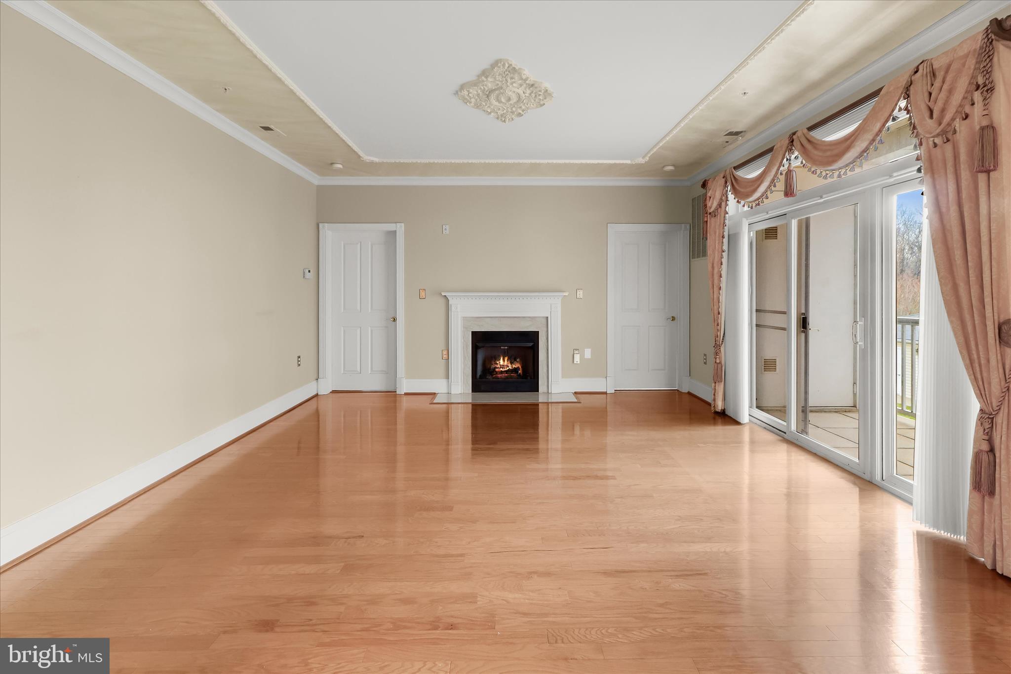 2250 Bear Den Road, Unit 104 Frederick, MD 21701 - Photo 11 of 81 Living Room - Fireplace - Balcony