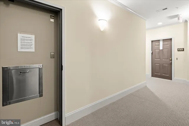 a view of a park with large trees