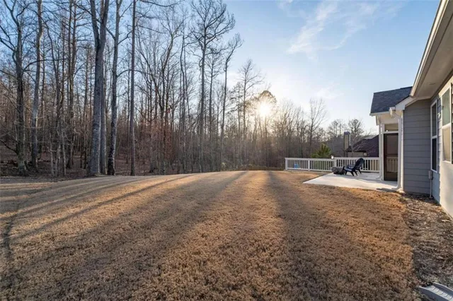 a view of road with large trees