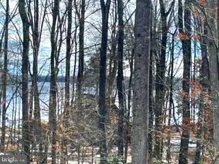 3525 Breaknock Road Bumpass, VA 23024 - Photo 43 of 60