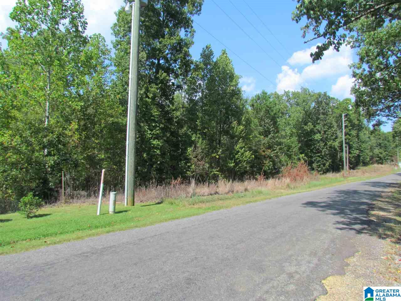 0 Wolf Pen Ridge Road Pell City, AL 35128 - Photo 3 of 13