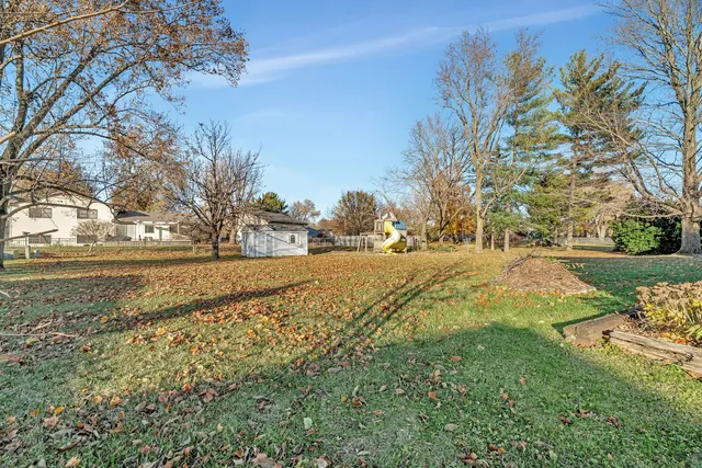 a view of dirt yard with a large tree