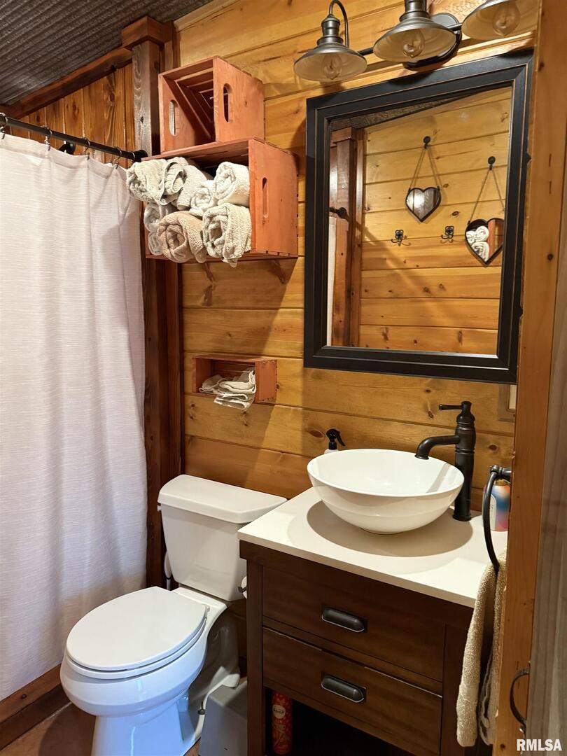 5435 Hickory Ridge Road Pomona, IL 62975 - Photo 28 of 77 a bathroom with a sink mirror vanity and toilet