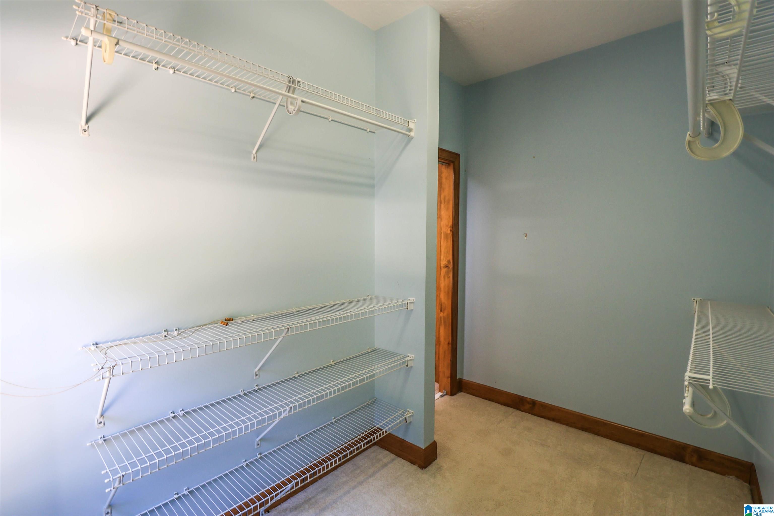 318 Boulder Point Lane Ohatchee, AL 36271 - Photo 28 of 100