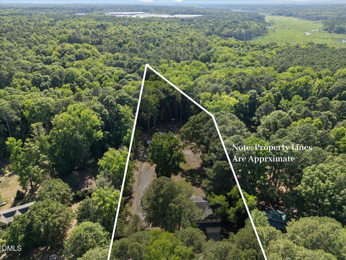 1304 Flying Hawk Road Apex, NC 27523 - Photo 48 of 52 view of a forest