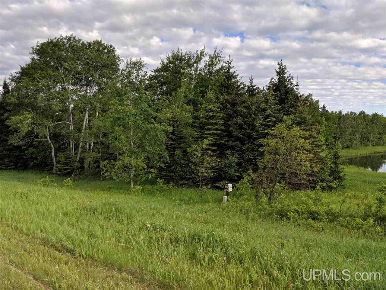 Tbd Town Line Road Skandia, MI 49885 - Photo 10 of 14
