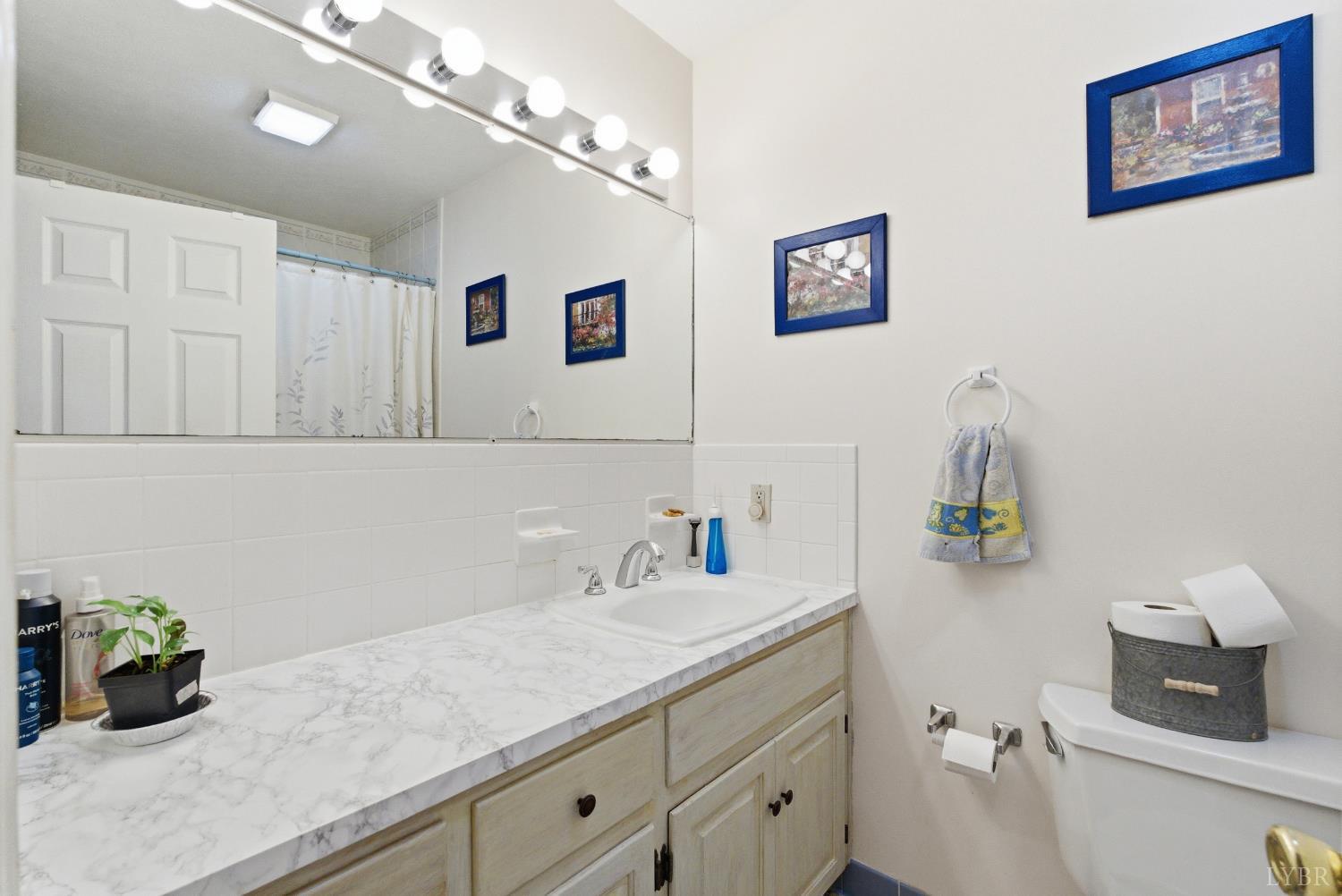 1621 Turkey Mountain Road Amherst, VA 24521 - Photo 56 of 65