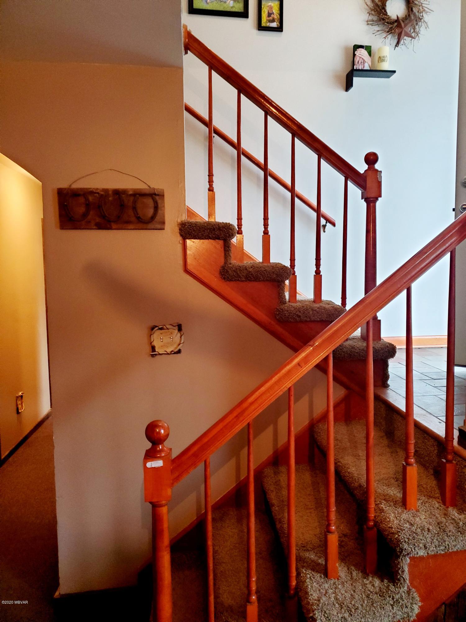 2197 Southard Road Trout Run, PA 17771 - Photo 34 of 45 downstairs