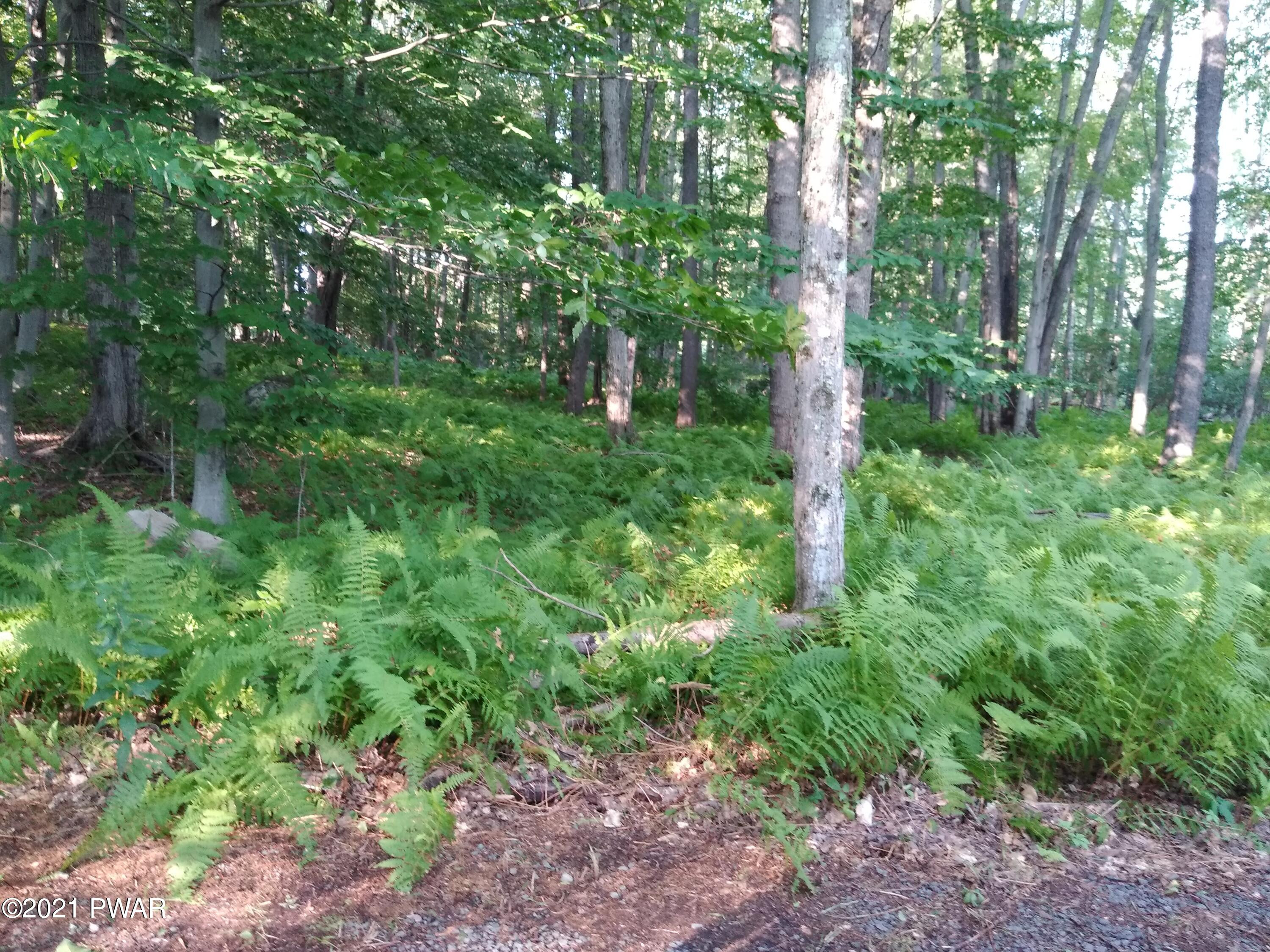 2 Eisenhauer Road Lake Ariel, PA 18436 - Photo 14 of 22 17