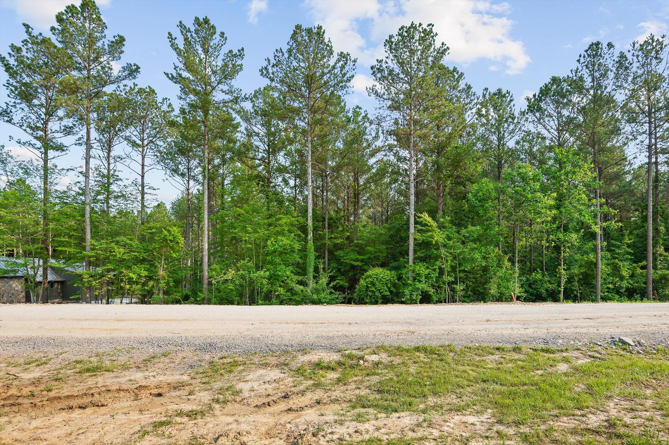 0 Split Rail Way, Unit 1121 Guild, TN 37340 - Photo 11 of 17 01-TN-156-1