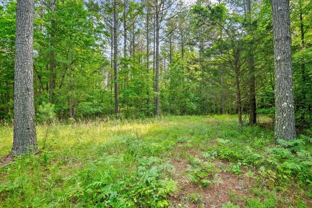 $275,000 | 0 Split Rail Way, Unit 1121, Guild, TN 37340