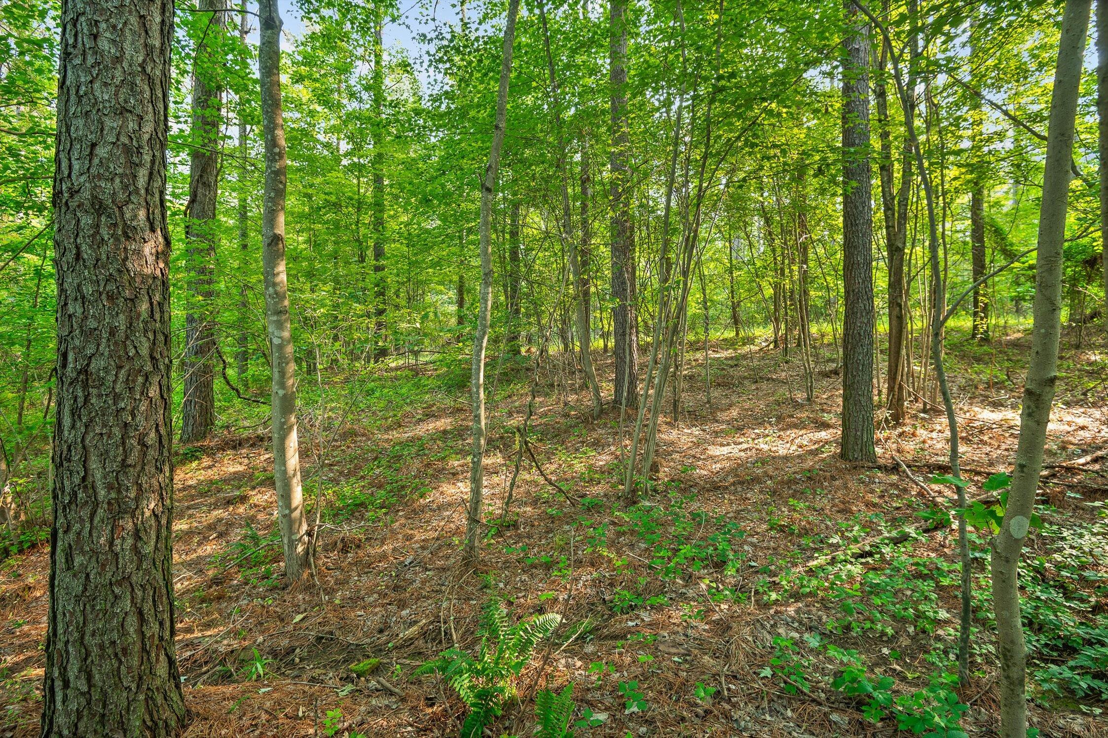 0 Split Rail Way, Unit 1121 Guild, TN 37340 - Photo 4 of 17 08-TN-156-8