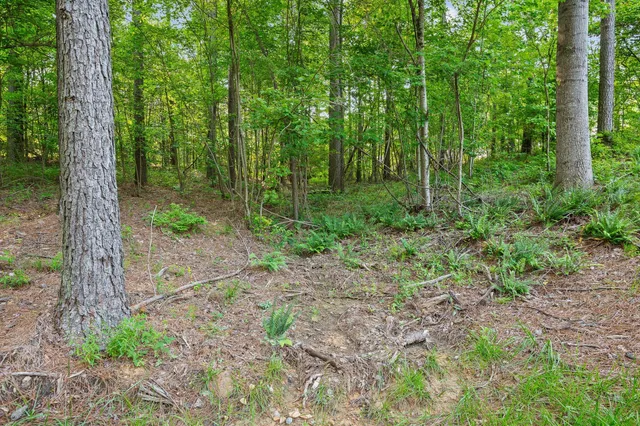 $275,000 | 0 Split Rail Way, Unit 1121, Guild, TN 37340