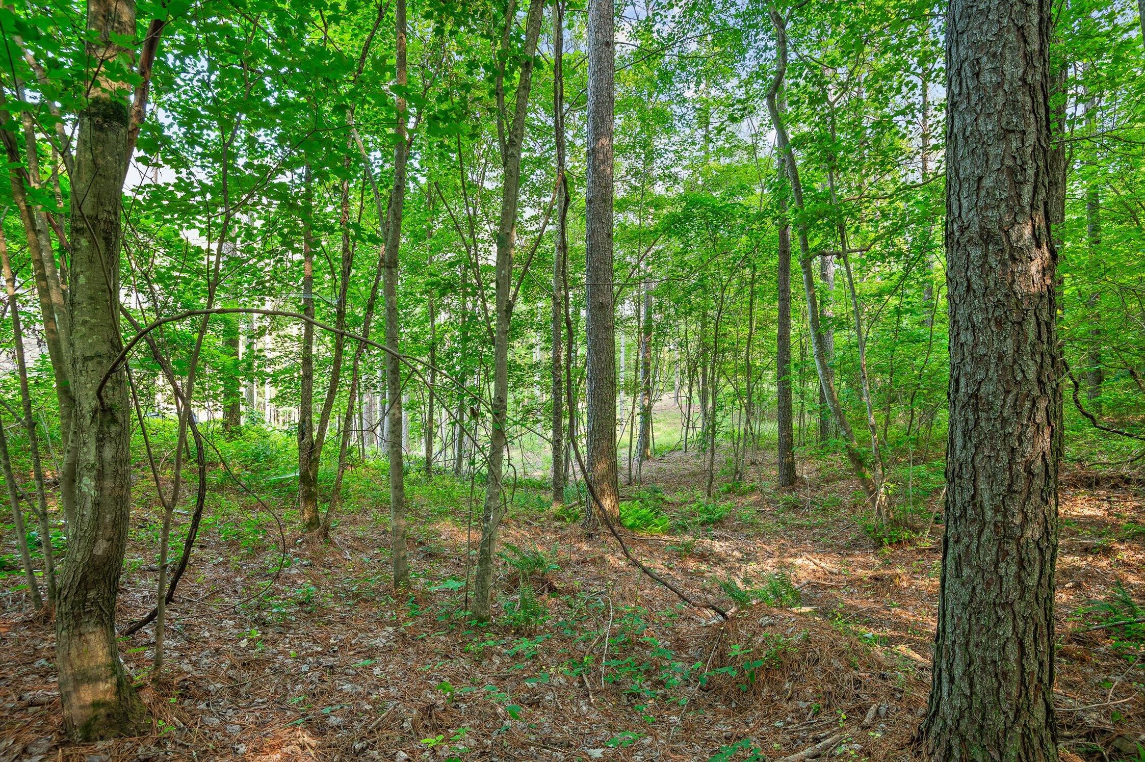 0 Split Rail Way, Unit 1121 Guild, TN 37340 - Photo 7 of 17 07-TN-156-7