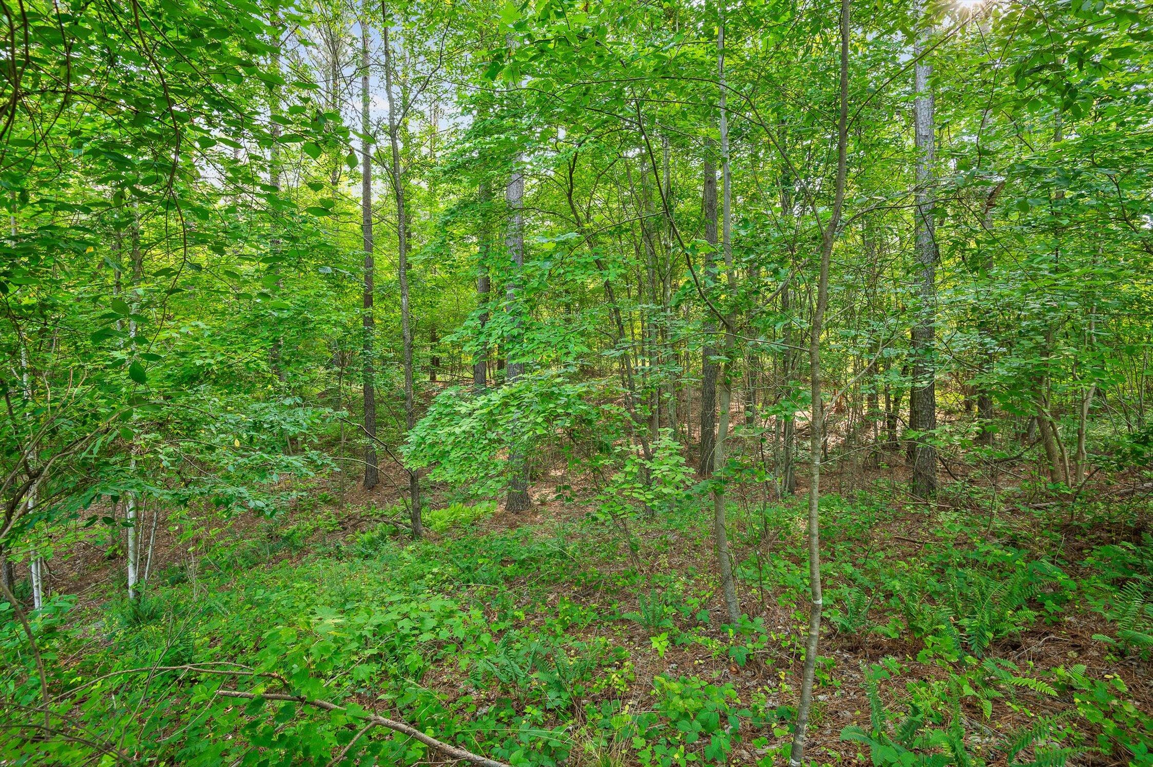 0 Split Rail Way, Unit 1121 Guild, TN 37340 - Photo 9 of 17 06-TN-156-6