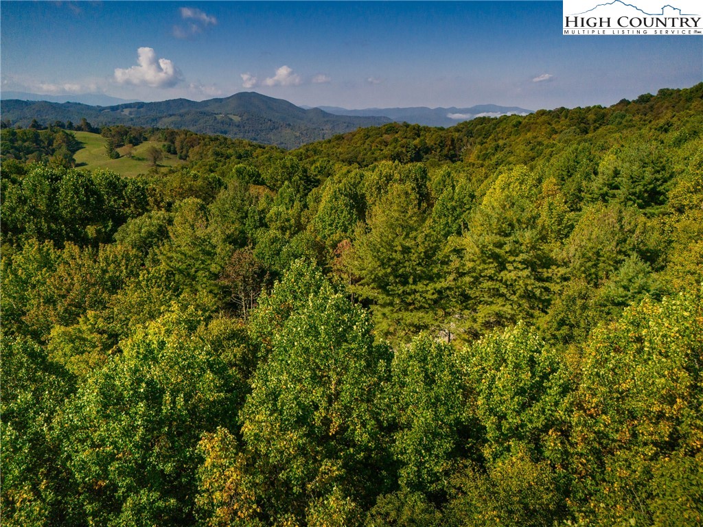 Timber Ridge Road Sugar Grove, NC 28679 - Photo 12 of 25