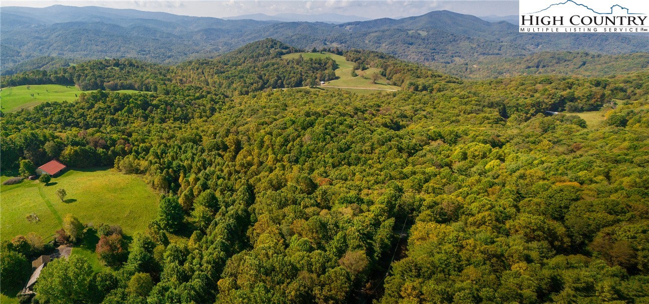 Timber Ridge Road Sugar Grove, NC 28679 - Photo 16 of 25