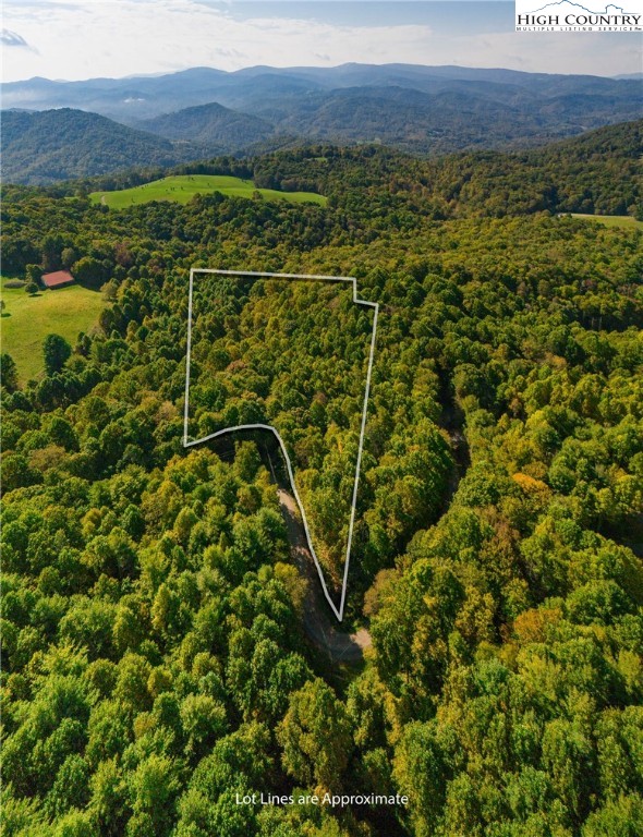 Timber Ridge Road Sugar Grove, NC 28679 - Photo 2 of 25