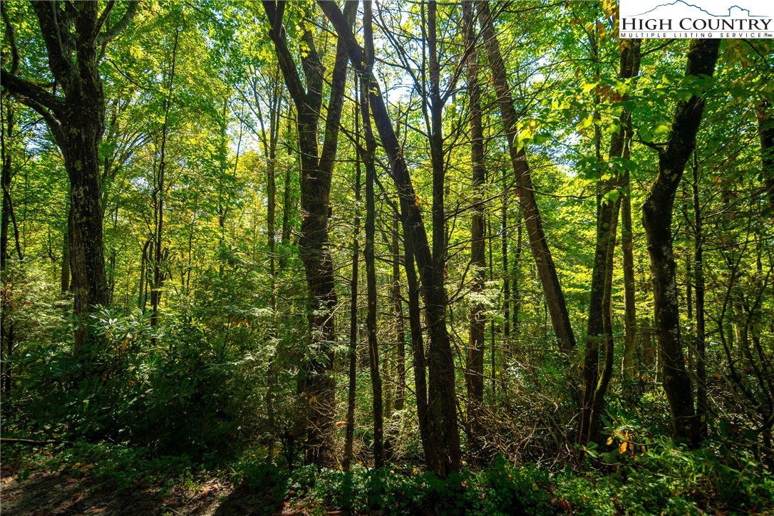 Timber Ridge Road Sugar Grove, NC 28679 - Photo 22 of 25