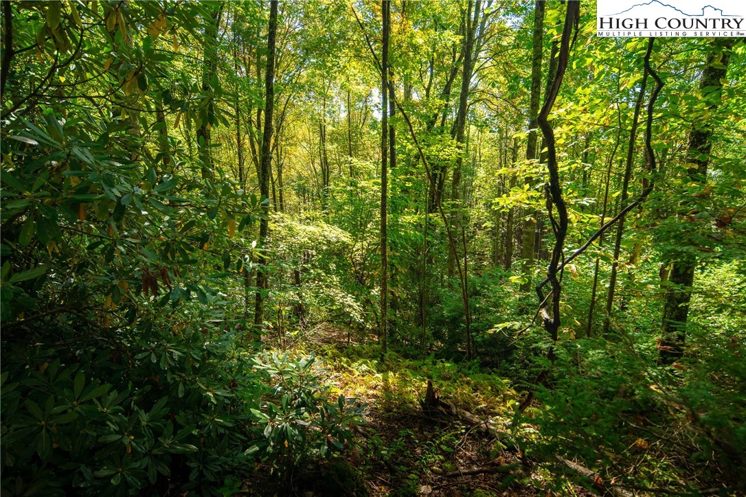 Timber Ridge Road Sugar Grove, NC 28679 - Photo 23 of 25